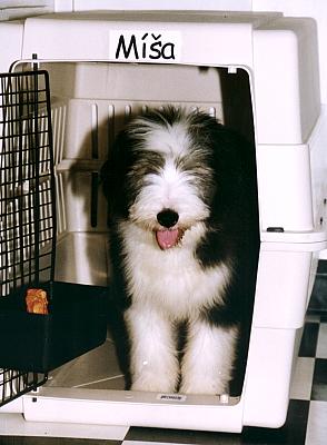 Click for bigger photo