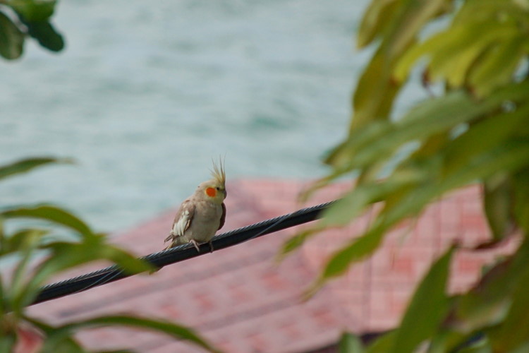 prDSC_3677w.JPG