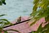 prDSC_3677w.JPG
