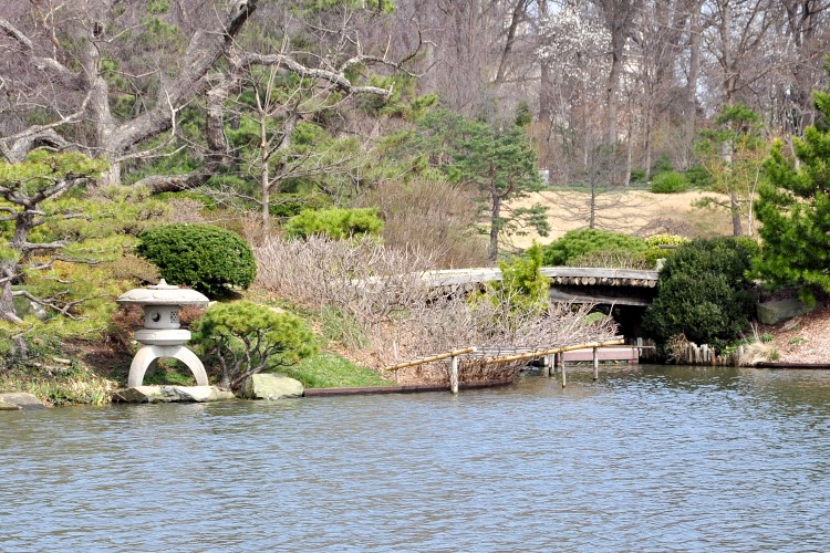 DSC_3482w.JPG