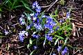 DSC_3472w.JPG