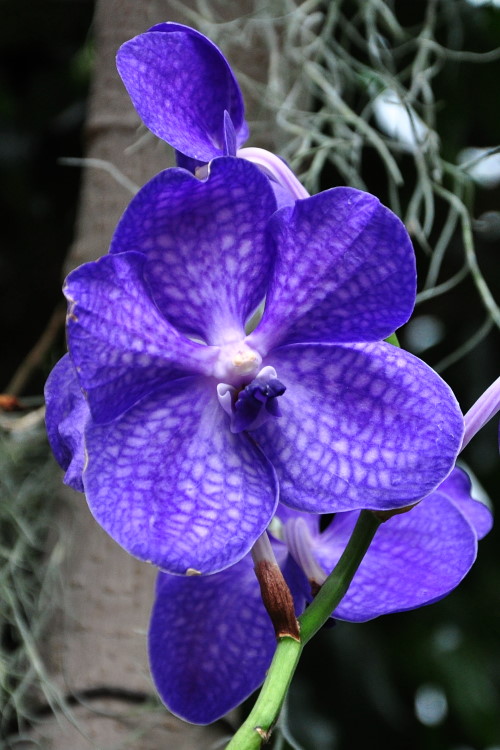 DSC_3362a.JPG