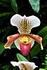 DSC_3353a.JPG