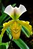DSC_3388a.JPG